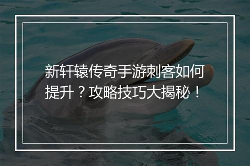 新轩辕传奇手游刺客如何提升？攻略技巧大揭秘！