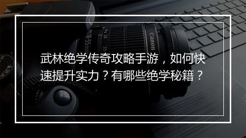 武林绝学传奇攻略手游，如何快速提升实力？有哪些绝学秘籍？
