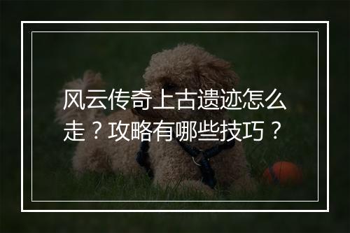 风云传奇上古遗迹怎么走？攻略有哪些技巧？