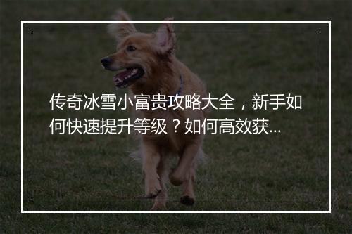 传奇冰雪小富贵攻略大全，新手如何快速提升等级？如何高效获取资源？