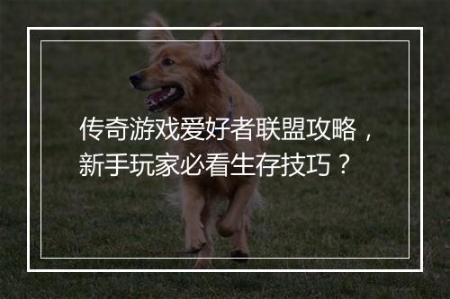 传奇游戏爱好者联盟攻略，新手玩家必看生存技巧？