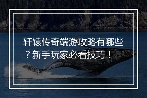 轩辕传奇端游攻略有哪些？新手玩家必看技巧！
