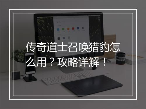 传奇道士召唤猎豹怎么用？攻略详解！