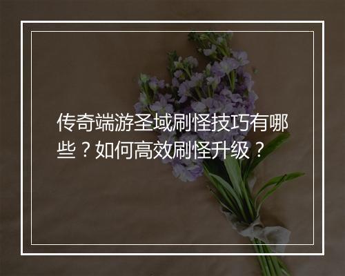 传奇端游圣域刷怪技巧有哪些？如何高效刷怪升级？