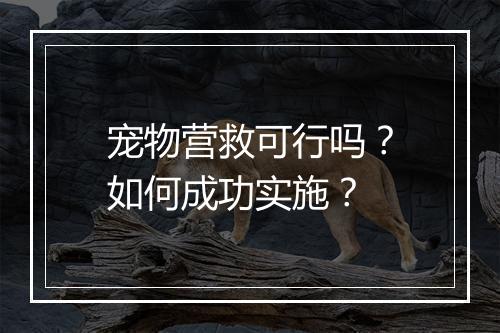 宠物营救可行吗？如何成功实施？