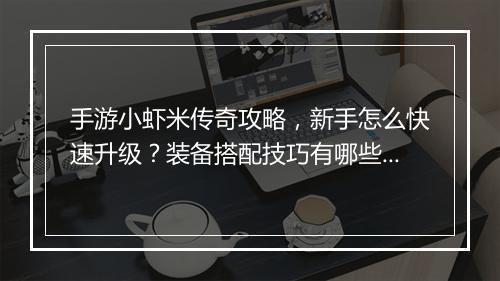 手游小虾米传奇攻略，新手怎么快速升级？装备搭配技巧有哪些？