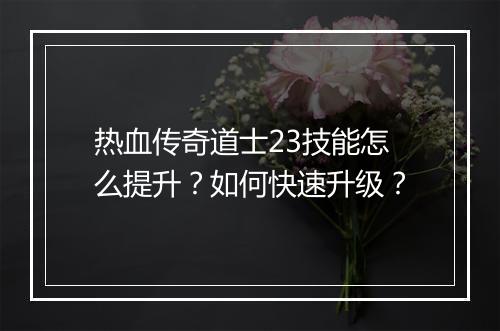 热血传奇道士23技能怎么提升？如何快速升级？