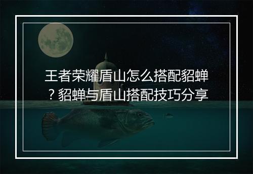 王者荣耀盾山怎么搭配貂蝉？貂蝉与盾山搭配技巧分享