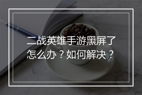 二战英雄手游黑屏了怎么办？如何解决？