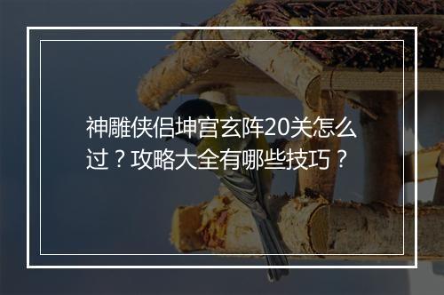 神雕侠侣坤宫玄阵20关怎么过？攻略大全有哪些技巧？
