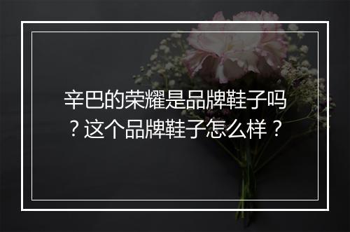 辛巴的荣耀是品牌鞋子吗？这个品牌鞋子怎么样？