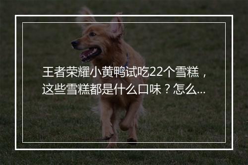 王者荣耀小黄鸭试吃22个雪糕，这些雪糕都是什么口味？怎么评价？