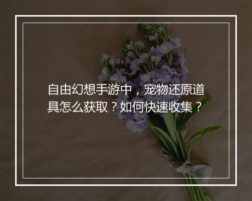 自由幻想手游中，宠物还原道具怎么获取？如何快速收集？
