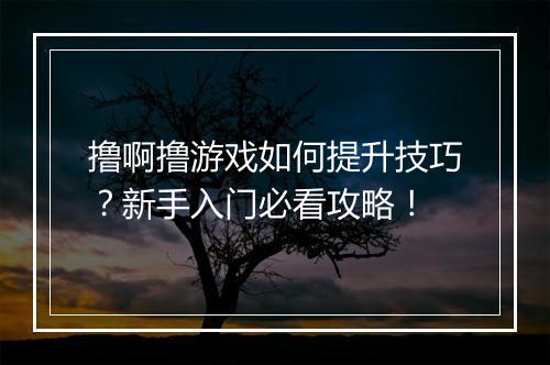 撸啊撸游戏如何提升技巧？新手入门必看攻略！