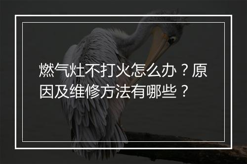 燃气灶不打火怎么办？原因及维修方法有哪些？