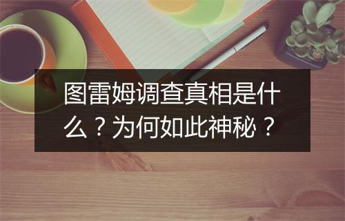 图雷姆调查真相是什么？为何如此神秘？
