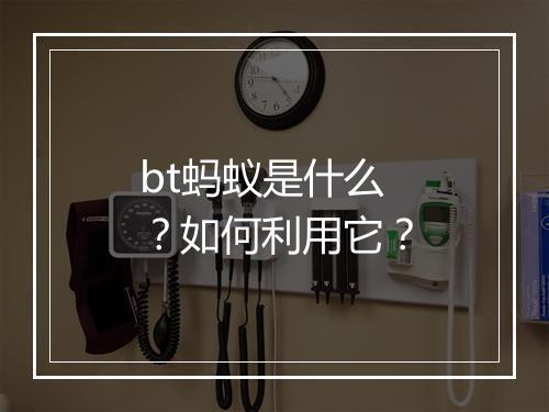 bt蚂蚁是什么？如何利用它？