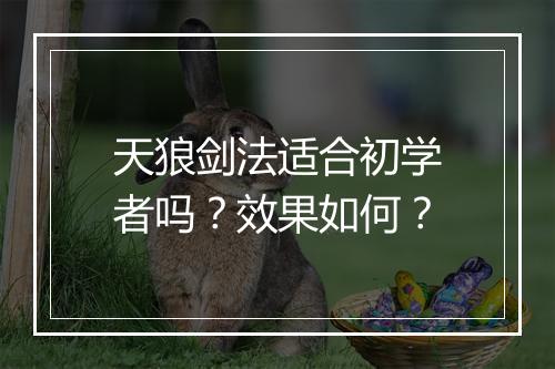 天狼剑法适合初学者吗？效果如何？