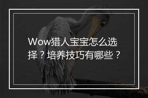 Wow猎人宝宝怎么选择？培养技巧有哪些？