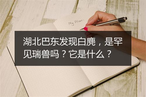 湖北巴东发现白麂，是罕见瑞兽吗？它是什么？