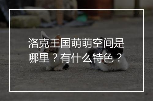 洛克王国萌萌空间是哪里？有什么特色？