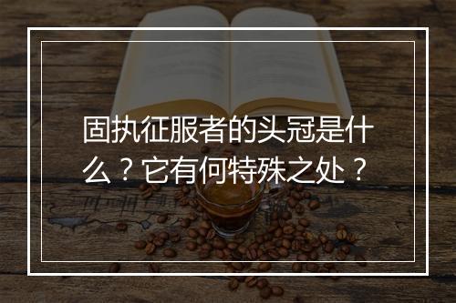 固执征服者的头冠是什么？它有何特殊之处？