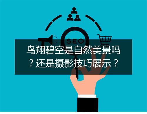 鸟翔碧空是自然美景吗？还是摄影技巧展示？