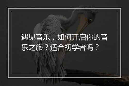 遇见音乐，如何开启你的音乐之旅？适合初学者吗？