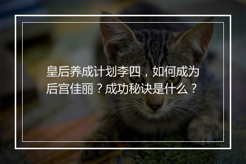 皇后养成计划李四，如何成为后宫佳丽？成功秘诀是什么？