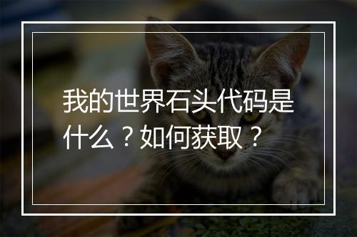 我的世界石头代码是什么？如何获取？