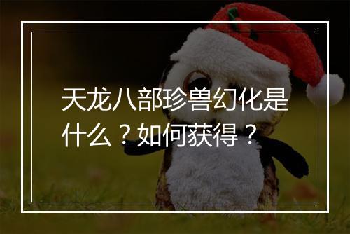天龙八部珍兽幻化是什么？如何获得？