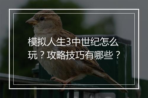 模拟人生3中世纪怎么玩？攻略技巧有哪些？