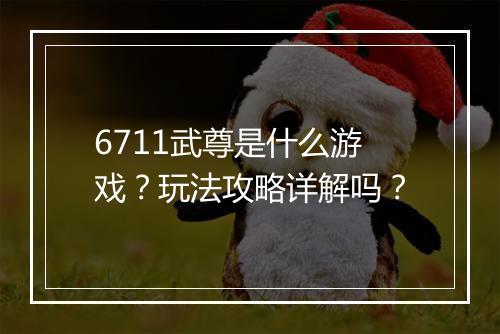 6711武尊是什么游戏？玩法攻略详解吗？