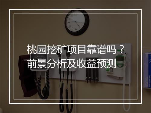 桃园挖矿项目靠谱吗？前景分析及收益预测