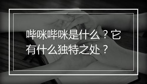 哔咪哔咪是什么？它有什么独特之处？