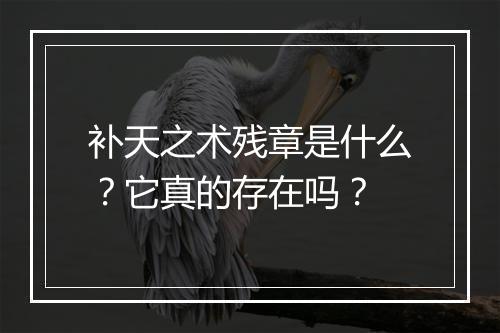 补天之术残章是什么？它真的存在吗？