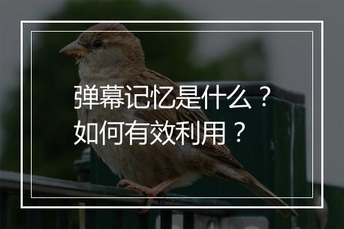 弹幕记忆是什么？如何有效利用？