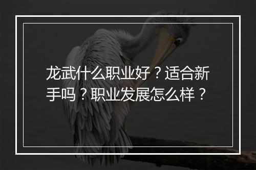 龙武什么职业好？适合新手吗？职业发展怎么样？