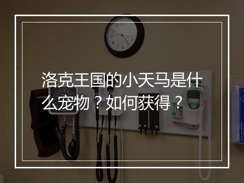 洛克王国的小天马是什么宠物？如何获得？