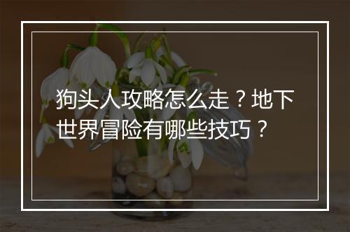 狗头人攻略怎么走？地下世界冒险有哪些技巧？