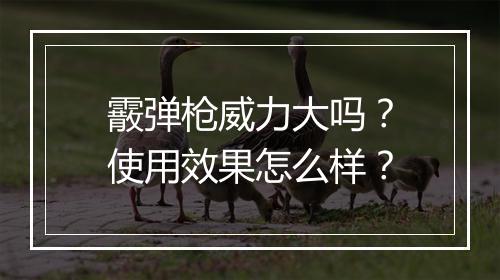 霰弹枪威力大吗？使用效果怎么样？