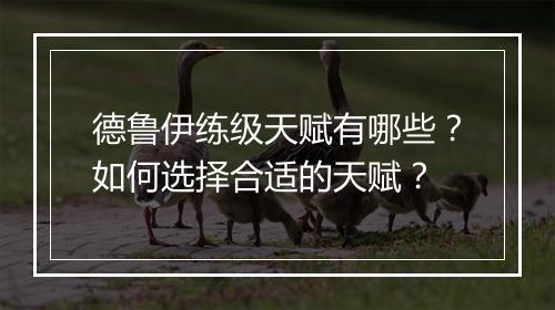 德鲁伊练级天赋有哪些？如何选择合适的天赋？