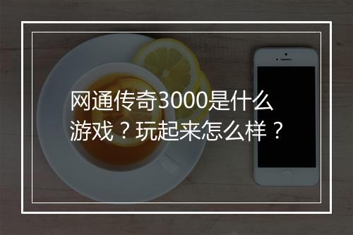 网通传奇3000是什么游戏？玩起来怎么样？