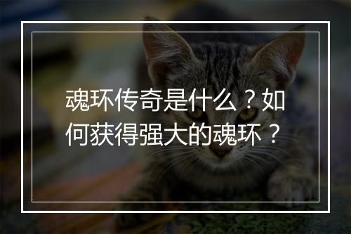 魂环传奇是什么？如何获得强大的魂环？