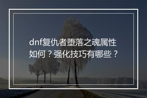 dnf复仇者堕落之魂属性如何？强化技巧有哪些？