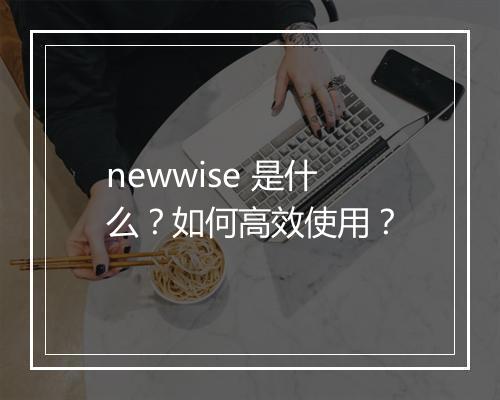 newwise 是什么？如何高效使用？