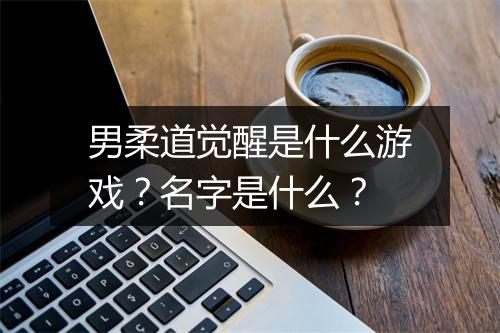 男柔道觉醒是什么游戏？名字是什么？