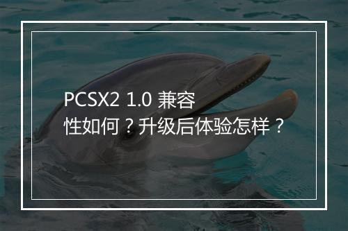 PCSX2 1.0 兼容性如何？升级后体验怎样？