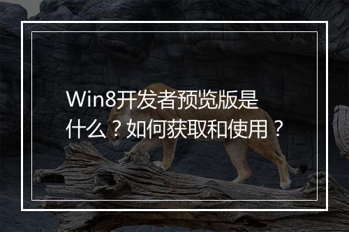 Win8开发者预览版是什么？如何获取和使用？