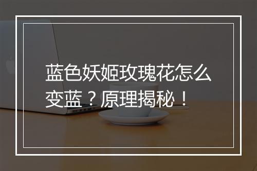 蓝色妖姬玫瑰花怎么变蓝？原理揭秘！